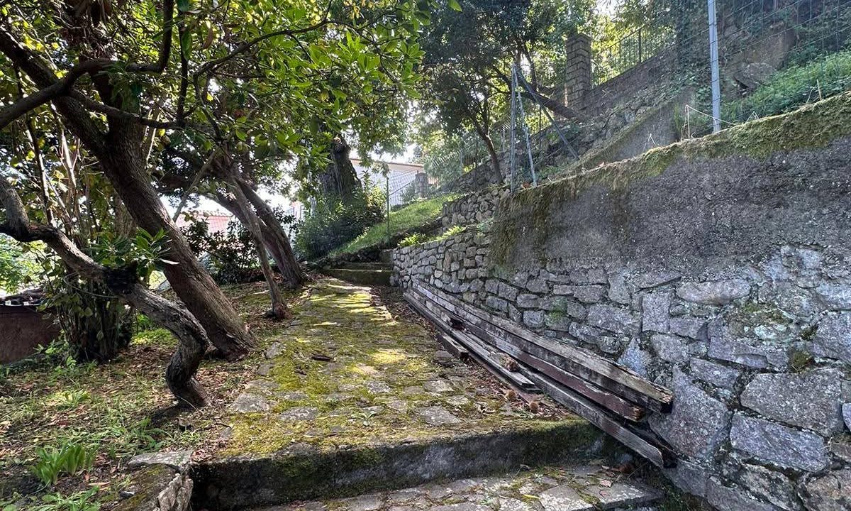 FB_IMG_1764916511934