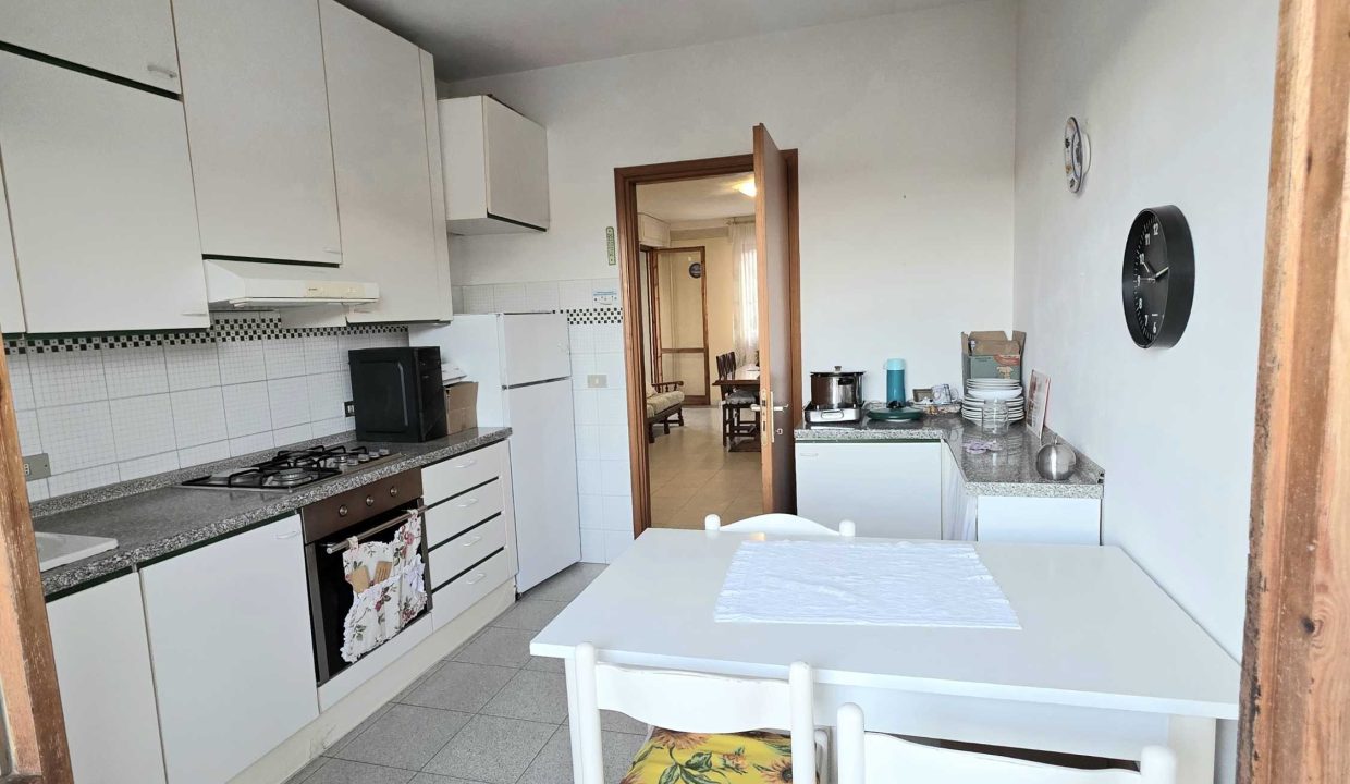 20260224_172025_copy_2250x3000