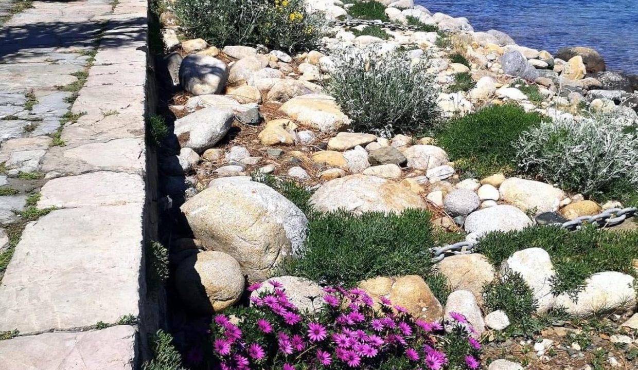 04MM ATTIVITA' COMMERCIALE FRONTE MARE MY POKE MARCIANA MARINA