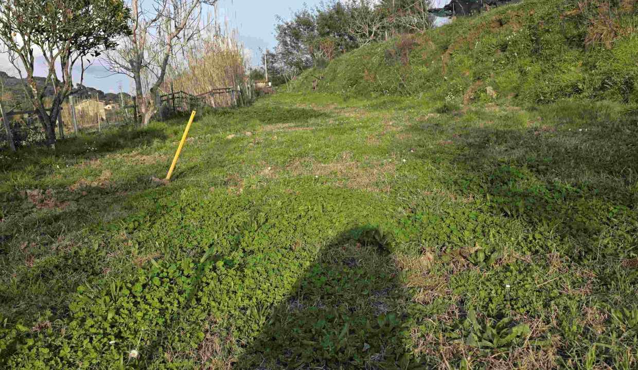 terreno agricolo a Portoferraio recintato con pozzo
