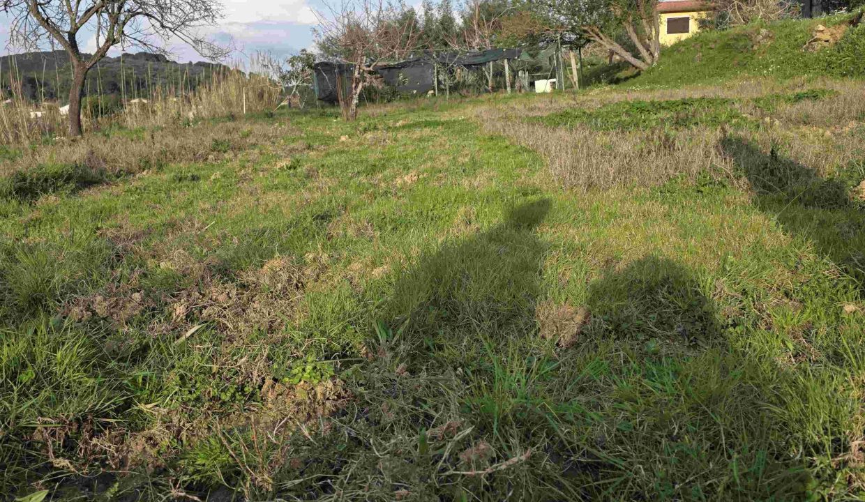 terreno agricolo a Portoferraio recintato con pozzo