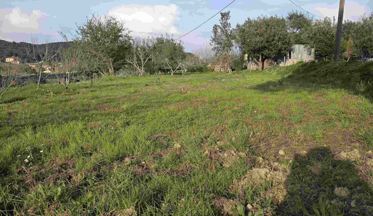 terreno agricolo a Portoferraio recintato con pozzo