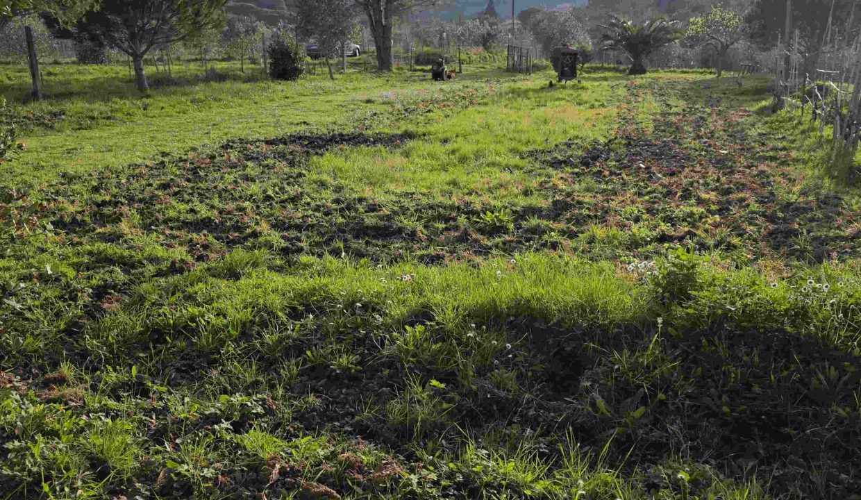 terreno agricolo a Portoferraio recintato con pozzo