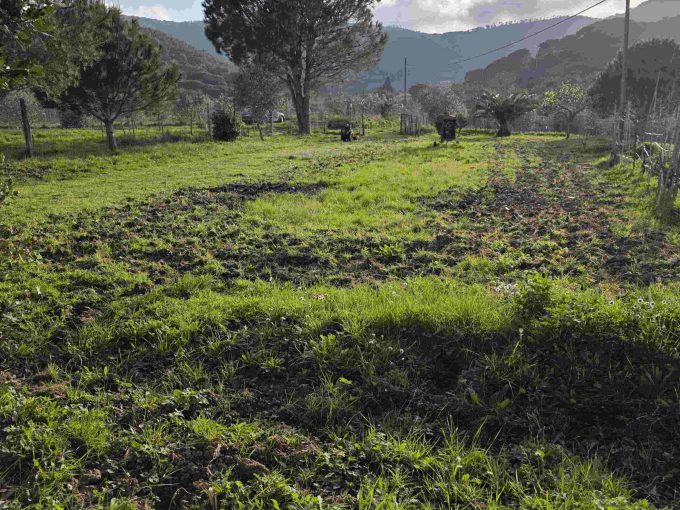 terreno agricolo a Portoferraio recintato con pozzo