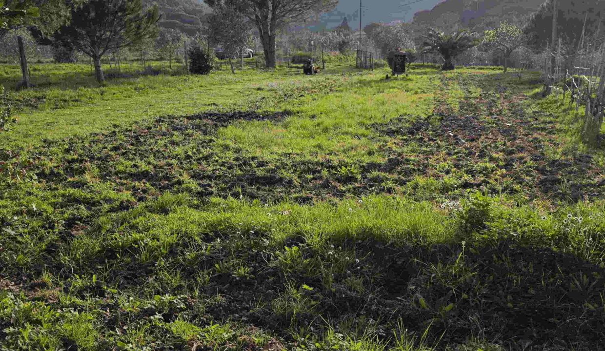 terreno agricolo a Portoferraio recintato con pozzo
